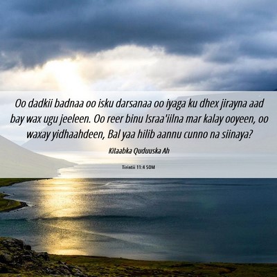 Picture 06 - Tirintii 11:4 SOM - Oo dadkii badnaa oo isku darsanaa oo iyaga ku - Bible Verse Picture