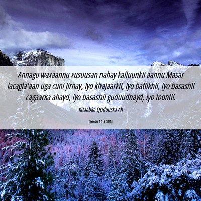Picture 06 - Tirintii 11:5 SOM - Annagu waxaannu xusuusan nahay kalluunkii aannu - Bible Verse Picture