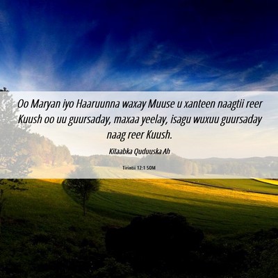 Picture 06 - Tirintii 12:1 SOM - Oo Maryan iyo Haaruunna waxay Muuse u xanteen - Bible Verse Picture