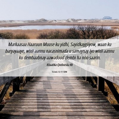 Picture 06 - Tirintii 12:11 SOM - Markaasaa Haaruun Muuse ku yidhi, Sayidkaygiiyow, - Bible Verse Picture