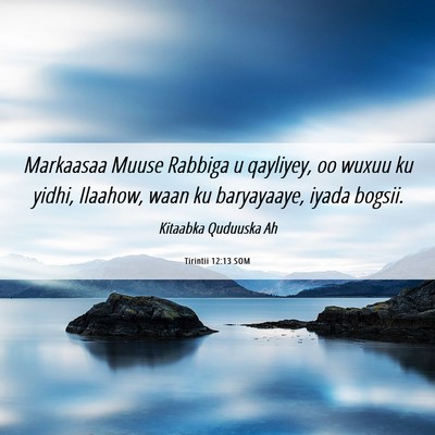 Picture 06 - Tirintii 12:13 SOM - Markaasaa Muuse Rabbiga u qayliyey, oo wuxuu ku - Bible Verse Picture