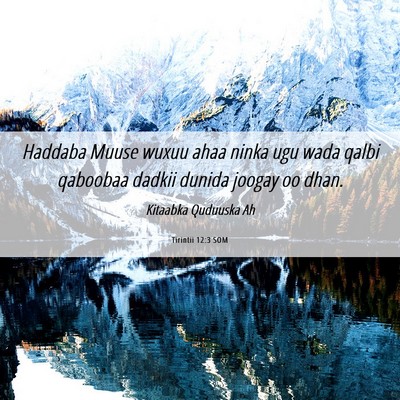 Picture 06 - Tirintii 12:3 SOM - Haddaba Muuse wuxuu ahaa ninka ugu wada qalbi - Bible Verse Picture