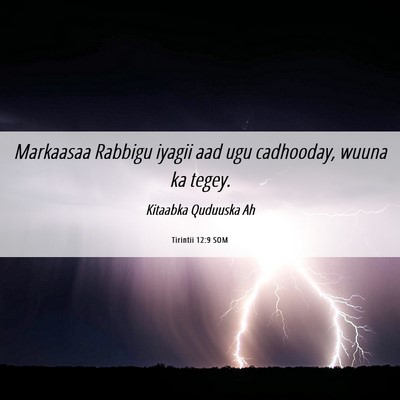 Picture 06 - Tirintii 12:9 SOM - Markaasaa Rabbigu iyagii aad ugu cadhooday, wuuna - Bible Verse Picture