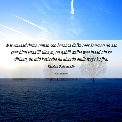 Picture 06 - Tirintii 13:2 SOM - War waxaad dirtaa niman soo basaasa dalka reer - Bible Verse Picture