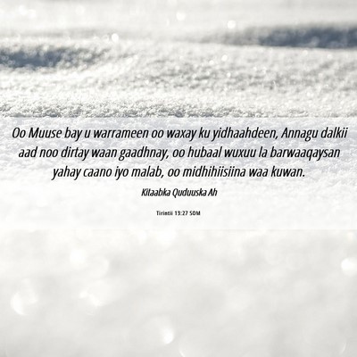 Picture 06 - Tirintii 13:27 SOM - Oo Muuse bay u warrameen oo waxay ku yidhaahdeen, - Bible Verse Picture