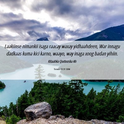 Picture 06 - Tirintii 13:31 SOM - Laakiinse nimankii isaga raacay waxay - Bible Verse Picture