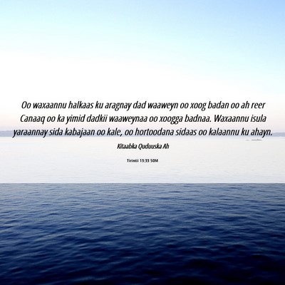 Picture 06 - Tirintii 13:33 SOM - Oo waxaannu halkaas ku aragnay dad waaweyn oo - Bible Verse Picture