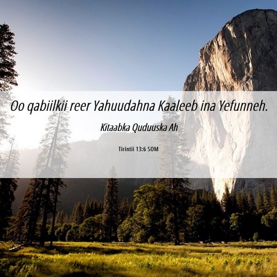 Picture 06 - Tirintii 13:6 SOM - Oo qabiilkii reer Yahuudahna Kaaleeb ina - Bible Verse Picture