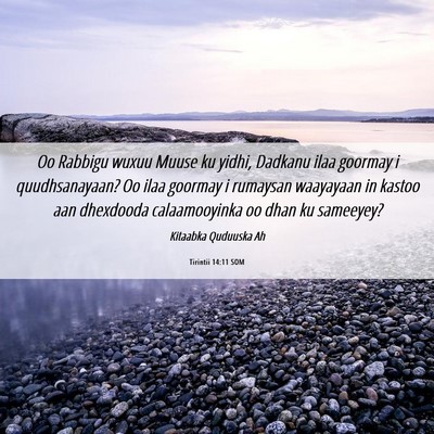 Picture 06 - Tirintii 14:11 SOM - Oo Rabbigu wuxuu Muuse ku yidhi, Dadkanu ilaa - Bible Verse Picture