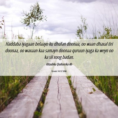 Picture 06 - Tirintii 14:12 SOM - Haddaba iyagaan belaayo ku dhufan doonaa, oo waan - Bible Verse Picture