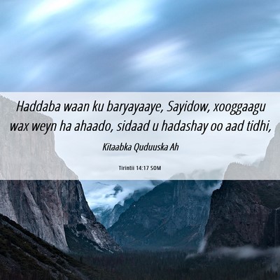 Picture 06 - Tirintii 14:17 SOM - Haddaba waan ku baryayaaye, Sayidow, xooggaagu - Bible Verse Picture