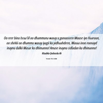 Picture 06 - Tirintii 14:2 SOM - Oo reer binu Israa'iil oo dhammuna waxay u - Bible Verse Picture