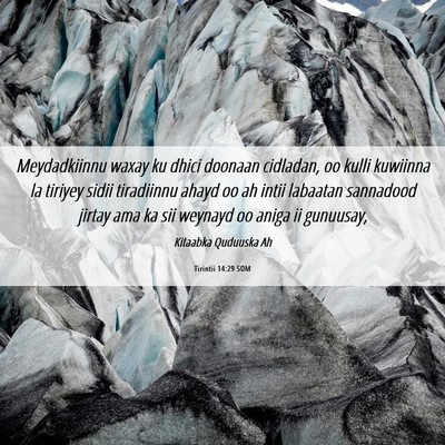 Picture 06 - Tirintii 14:29 SOM - Meydadkiinnu waxay ku dhici doonaan cidladan, oo - Bible Verse Picture