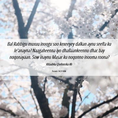 Picture 06 - Tirintii 14:3 SOM - Bal Rabbigu muxuu inoogu soo kexeeyey dalkan aynu - Bible Verse Picture