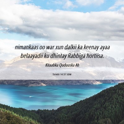 Picture 06 - Tirintii 14:37 SOM - nimankaas oo war xun dalkii ka keenay ayaa - Bible Verse Picture