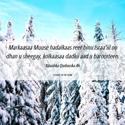 Picture 06 - Tirintii 14:39 SOM - Markaasaa Muuse hadalkaas reer binu Israa'iil oo - Bible Verse Picture