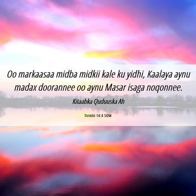 Picture 06 - Tirintii 14:4 SOM - Oo markaasaa midba midkii kale ku yidhi, Kaalaya - Bible Verse Picture