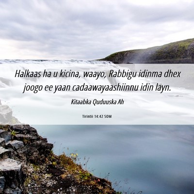Picture 06 - Tirintii 14:42 SOM - Halkaas ha u kicina, waayo, Rabbigu idinma dhex - Bible Verse Picture