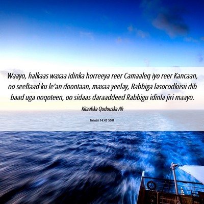 Picture 06 - Tirintii 14:43 SOM - Waayo, halkaas waxaa idinka horreeya reer - Bible Verse Picture