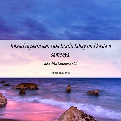 Picture 06 - Tirintii 15:12 SOM - Intaad diyaarisaan sida tiradu tahay mid kasta u - Bible Verse Picture