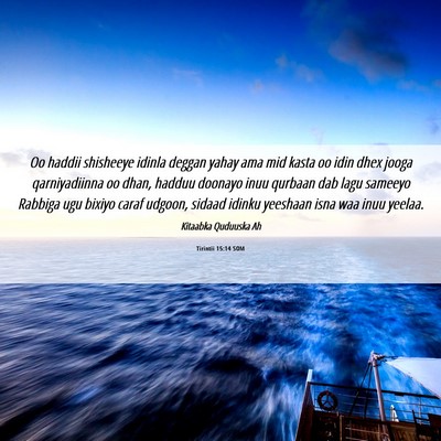 Picture 06 - Tirintii 15:14 SOM - Oo haddii shisheeye idinla deggan yahay ama mid - Bible Verse Picture