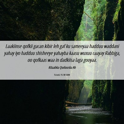 Picture 06 - Tirintii 15:30 SOM - Laakiinse qofkii gacan kibir leh gaf ku sameeyaa - Bible Verse Picture