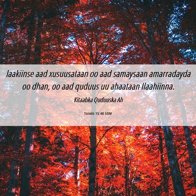 Picture 06 - Tirintii 15:40 SOM - laakiinse aad xusuusataan oo aad samaysaan - Bible Verse Picture