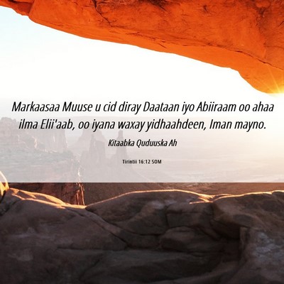 Picture 06 - Tirintii 16:12 SOM - Markaasaa Muuse u cid diray Daataan iyo Abiiraam - Bible Verse Picture