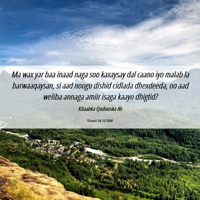 Picture 06 - Tirintii 16:13 SOM - Ma wax yar baa inaad naga soo kaxaysay dal caano - Bible Verse Picture