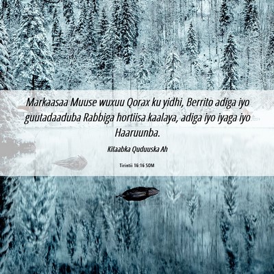Picture 06 - Tirintii 16:16 SOM - Markaasaa Muuse wuxuu Qorax ku yidhi, Berrito - Bible Verse Picture