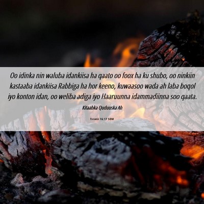 Picture 06 - Tirintii 16:17 SOM - Oo idinka nin waluba idankiisa ha qaato oo foox - Bible Verse Picture