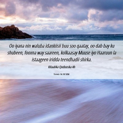 Picture 06 - Tirintii 16:18 SOM - Oo iyana nin waluba idankiisii buu soo qaatay, oo - Bible Verse Picture