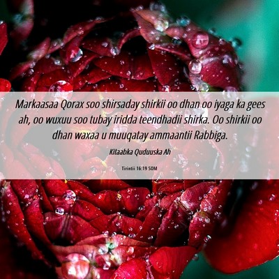 Picture 06 - Tirintii 16:19 SOM - Markaasaa Qorax soo shirsaday shirkii oo dhan oo - Bible Verse Picture