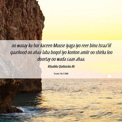 Picture 06 - Tirintii 16:2 SOM - oo waxay ku hor kaceen Muuse iyaga iyo reer binu - Bible Verse Picture