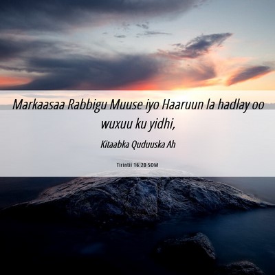 Picture 06 - Tirintii 16:20 SOM - Markaasaa Rabbigu Muuse iyo Haaruun la hadlay oo - Bible Verse Picture