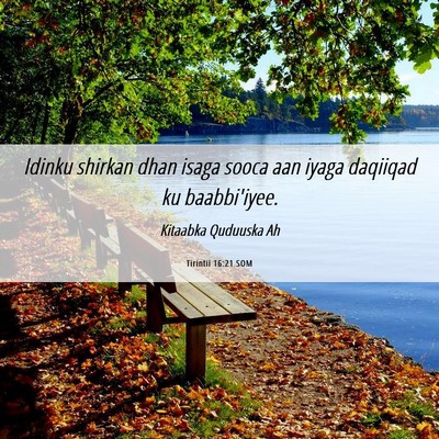 Picture 06 - Tirintii 16:21 SOM - Idinku shirkan dhan isaga sooca aan iyaga - Bible Verse Picture
