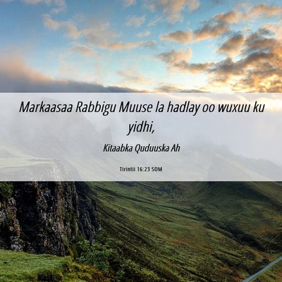 Picture 06 - Tirintii 16:23 SOM - Markaasaa Rabbigu Muuse la hadlay oo wuxuu ku - Bible Verse Picture
