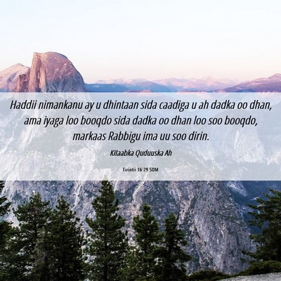 Picture 06 - Tirintii 16:29 SOM - Haddii nimankanu ay u dhintaan sida caadiga u ah - Bible Verse Picture