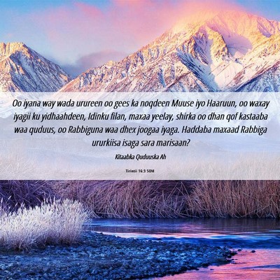 Picture 06 - Tirintii 16:3 SOM - Oo iyana way wada urureen oo gees ka noqdeen - Bible Verse Picture