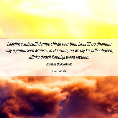 Picture 06 - Tirintii 16:41 SOM - Laakiinse subaxdii dambe shirkii reer binu - Bible Verse Picture