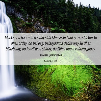 Picture 06 - Tirintii 16:47 SOM - Markaasaa Haaruun qaaday sidii Muuse ku hadlay, - Bible Verse Picture