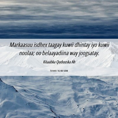 Picture 06 - Tirintii 16:48 SOM - Markaasuu isdhex taagay kuwii dhintay iyo kuwii - Bible Verse Picture