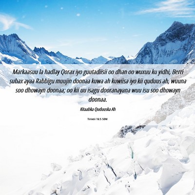 Picture 06 - Tirintii 16:5 SOM - Markaasuu la hadlay Qorax iyo guutadiisii oo dhan - Bible Verse Picture