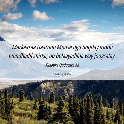 Picture 06 - Tirintii 16:50 SOM - Markaasaa Haaruun Muuse ugu noqday iriddii - Bible Verse Picture