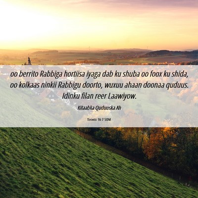 Picture 06 - Tirintii 16:7 SOM - oo berrito Rabbiga hortiisa iyaga dab ku shuba oo - Bible Verse Picture