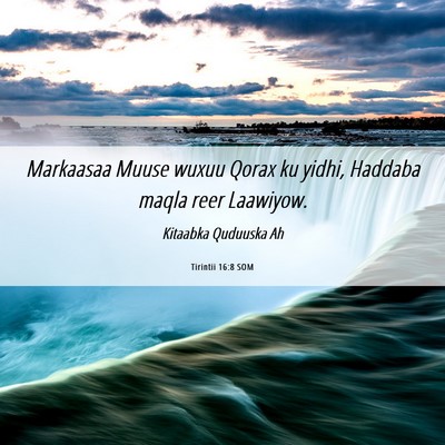 Picture 06 - Tirintii 16:8 SOM - Markaasaa Muuse wuxuu Qorax ku yidhi, Haddaba - Bible Verse Picture