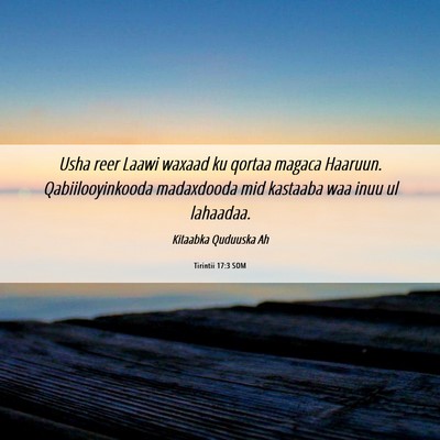 Picture 06 - Tirintii 17:3 SOM - Usha reer Laawi waxaad ku qortaa magaca Haaruun. - Bible Verse Picture