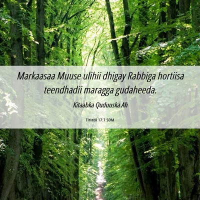 Picture 06 - Tirintii 17:7 SOM - Markaasaa Muuse ulihii dhigay Rabbiga hortiisa - Bible Verse Picture