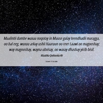Picture 06 - Tirintii 17:8 SOM - Maalintii dambe waxaa noqotay in Muuse galay - Bible Verse Picture