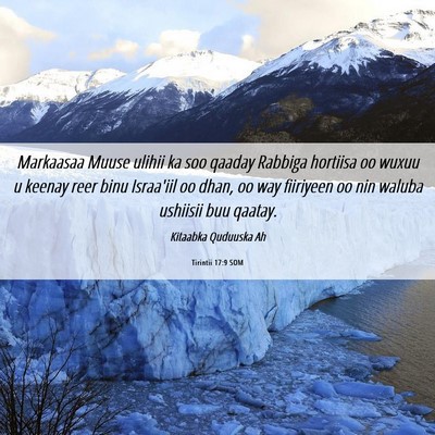 Picture 06 - Tirintii 17:9 SOM - Markaasaa Muuse ulihii ka soo qaaday Rabbiga - Bible Verse Picture